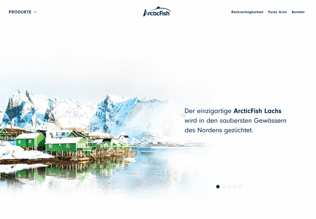 Strona główna realizacji Arctic Fish