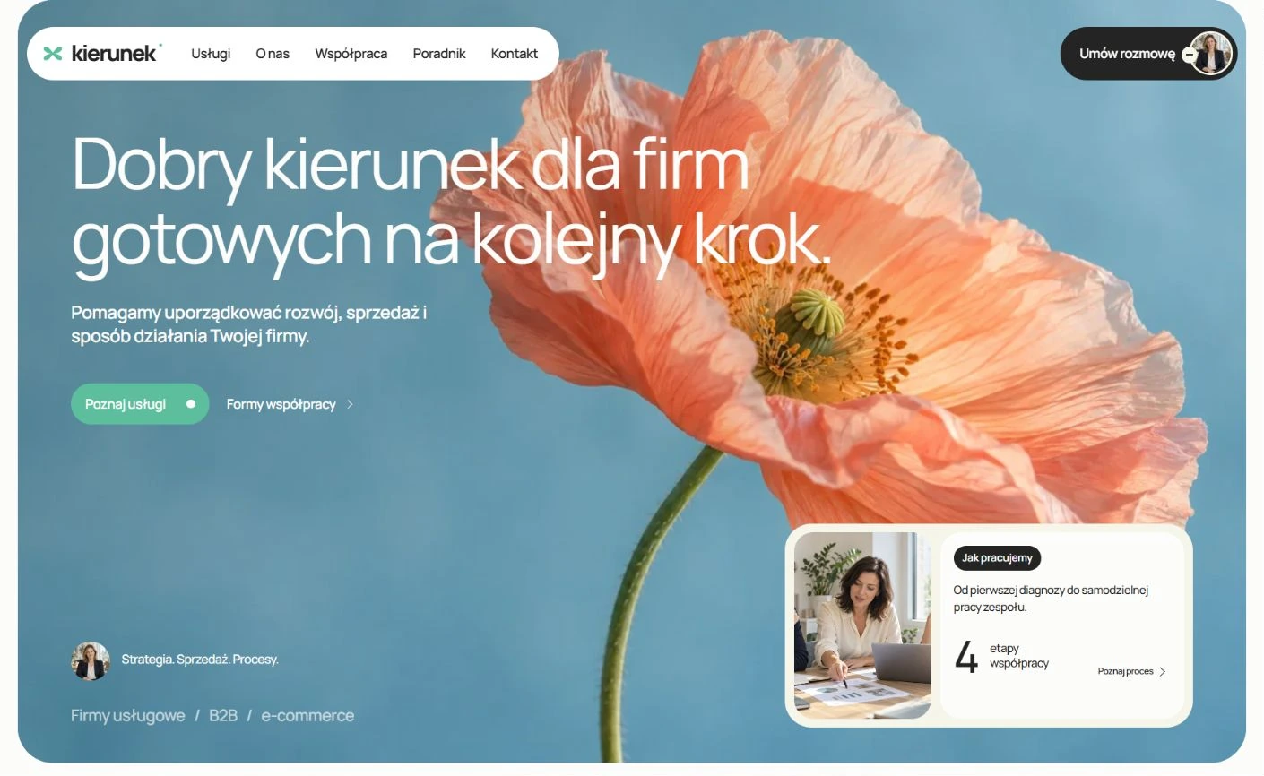 Podgląd strony Kierunek, Doradztwo dla firm