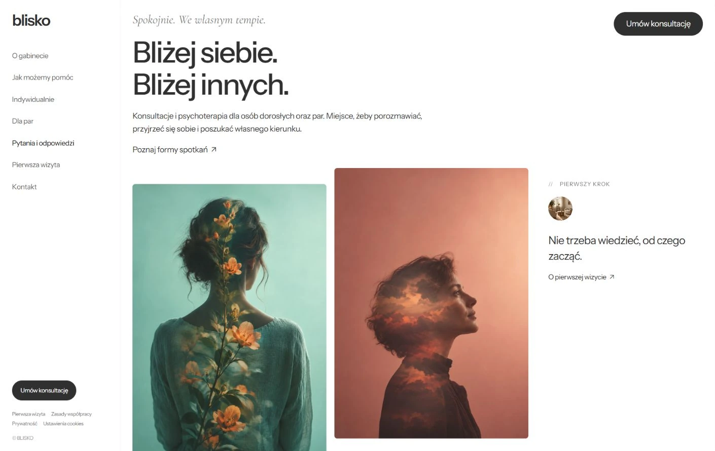 Podgląd strony BLISKO, Psychologia i psychoterapia