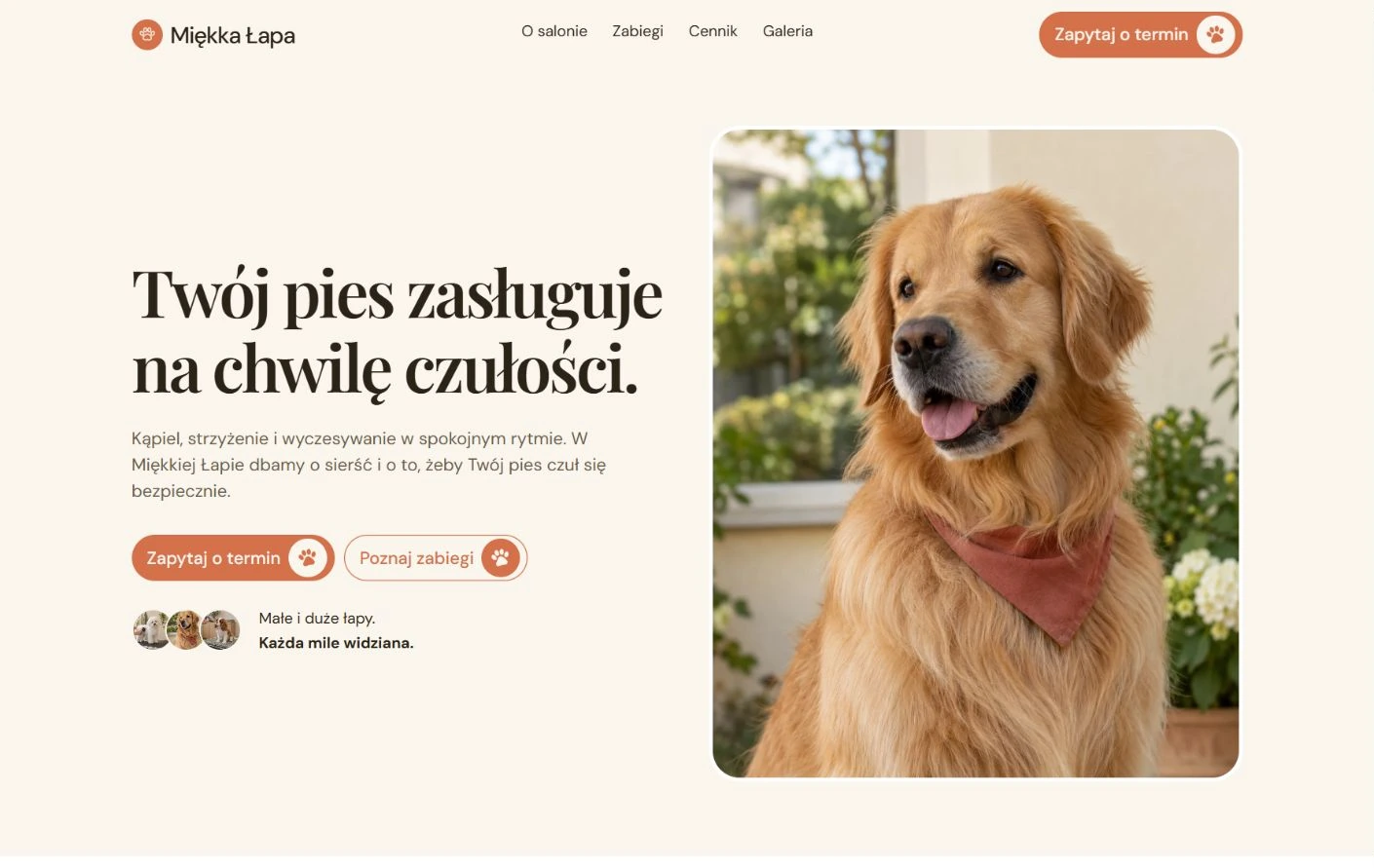 Podgląd strony Miękka Łapa, Salon groomerski